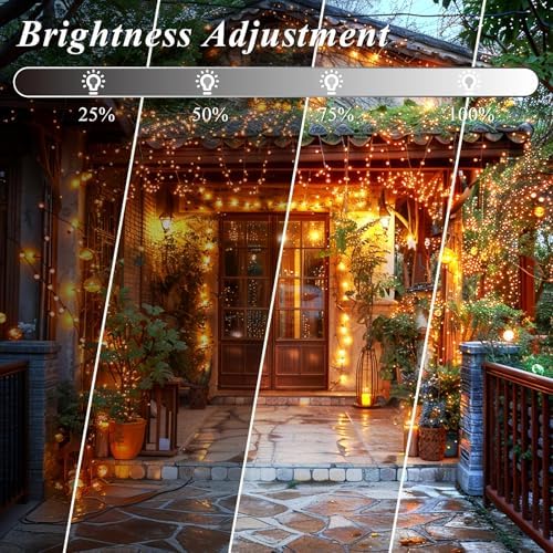LitHome Color Changing Christmas String Lights with Remote, 164Ft 500 LED