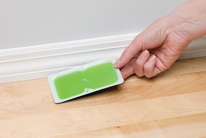 Tomcat Super Hold Glue Traps Mouse Size, 32 Traps | For Mice, Cockroaches, Spiders, and Scorpions, Ready-To-Use, 8 Packages Each with 4 Glue Traps