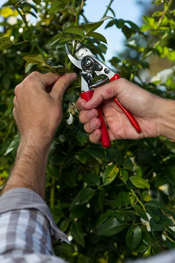 Felco F 15 Pruning Shears – 4.7" Garden Clippers with Rubber Grip & Anvil Blade | Hand Pruners for Gardening | Garden Tool Cutter with Forged Aluminum Handle, Lightweight Precision for Small Hands