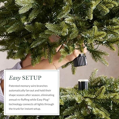 Balsam Hill 6ft Pre-Lit Alpine Christmas Tree - Sparse Artificial Christmas Tree with 200 Clear LED Fairy Lights, Pre-Fluffed Memory Wire Branches & Easy Plug Technology for Small Spaces