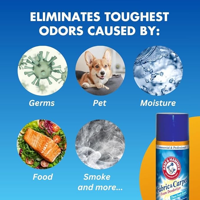 Arm and Hammer Fabric and Carpet Foam Deodorizer Professional, Aerosol, Fresh Scent, 15 fl oz (Case of 8)