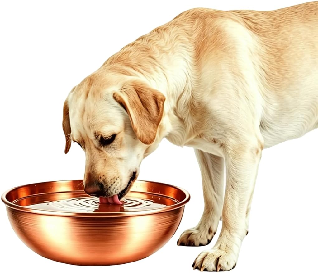 8.66 Inch Large Round Hand Forged Pure Solid Copper Pet Bowl, Heavy Duty Dog Copper Bowl for Food & Water, Premium Feeding Copper Bowl for Dogs Cats & All Household Pets (1)