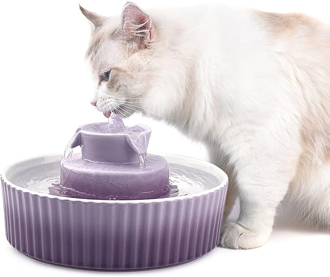 Cat Water Fountain: Cepheus Pet Drinking Fountain-2.1L/71oz Cat Fountain-Automatic Water Fountain for Cats and Dogs with with Ultra-Quiet Pump(Purple)