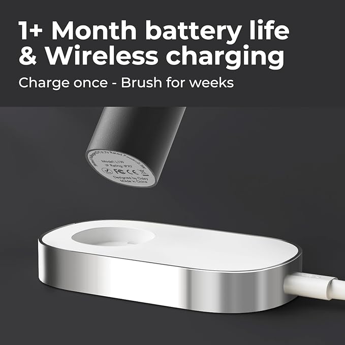 Oday Rechargeable Electric Toothbrush for Adults with Wall Mounted UV-Cleaning Tooth Brush Protector Case and 4 Brush Heads, Smartimer, IPX7 Waterproof, 1 Month+ Battery, Sleek Aluminum Body Black