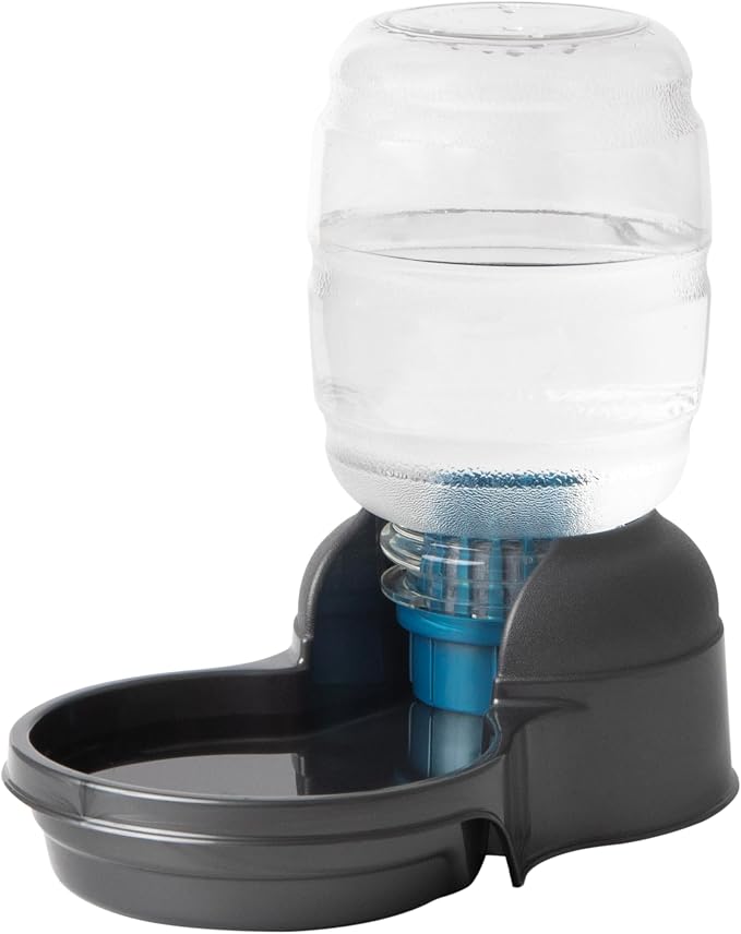 Petmate Replendish Automatic Dog Water Dispenser Gravity Pet Waterer with Microban Protection Base, 100% BPA Free - 0.5 Gallon, Wide Mouth Bowl, with 2 Extra Filters