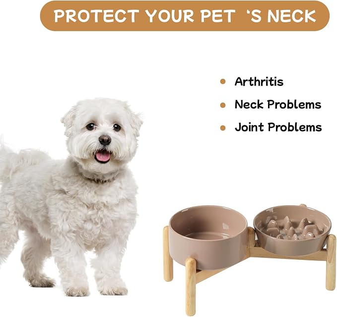 Havniva Elevated Slow Feeder Dog Bowls, Ceramic Dog Bowl Slow Feeder Set | 0.9 Cups Raised Slow Feeder Dog Bowl for Small Breed, 6.1” Dog Water Bowl with Wooden Stand, Puzzle Dog Food Bowl, Non-slip