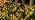 120 LED Solar Fairy Lights Outdoor Waterproof IP65, 10FT 8 Lighting Modes