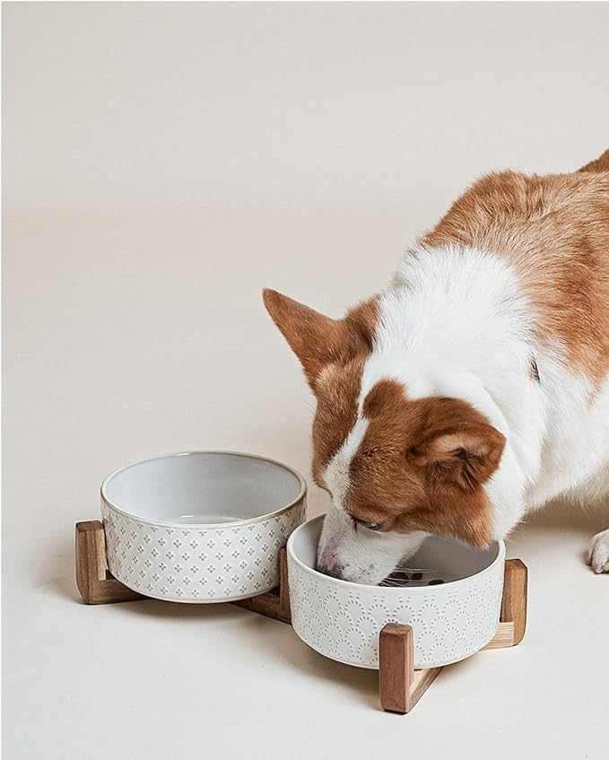 LE TAUCI Dog Bowls Ceramic for Small Medium Dogs - 3-Cup Dual Food & Water Bowl Set with Acacia Wood Stand, Non-Slip Anti-Tip Elevated Design