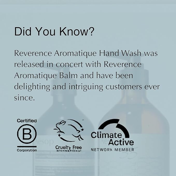 Aesop Reverence Aromatique Exfoliating Hand Wash | Exfoliating Hand Soap with Finely Milled Pumice | Gentle Cleanser & Skin-Smoothing Formula with Vetiver, Petitgrain & Bergamot | 500mL / 16.9 oz