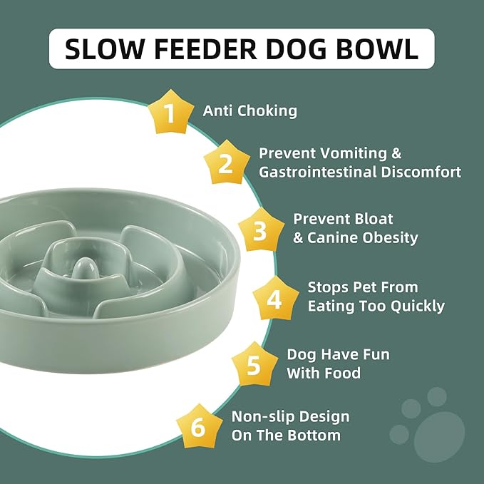 Havniva Dog Bowls Slow Feeder, Ceramic Slow Feeder Dog Bowls for Fast Eater | 3.2 Cups Dog Food Bowl Puzzle Feeder, Slow Feeding Bowls for Large Dogs, Non-Slip Base, Anti-Choking
