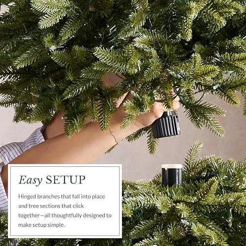 Balsam Hill Vancouver Spruce - Traditional Full Artificial Christmas Tree with Classic Needle Foliage with Premium Stand & Easy Assembly for Indoor Holiday Decorating, Unlit, 7'