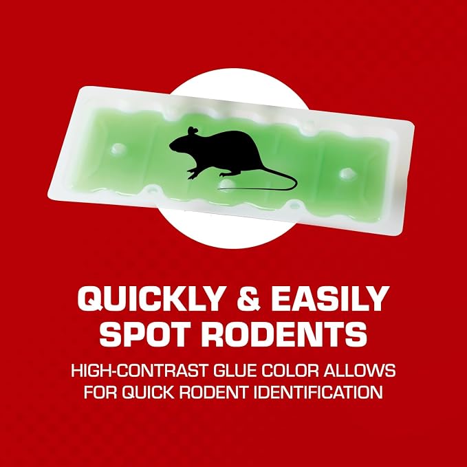Tomcat Super Hold Glue Traps Rat Size, 2 Traps | For Rats, Mice, Snakes, Cockroaches, Spiders, and Scorpions, Ready-To-Use