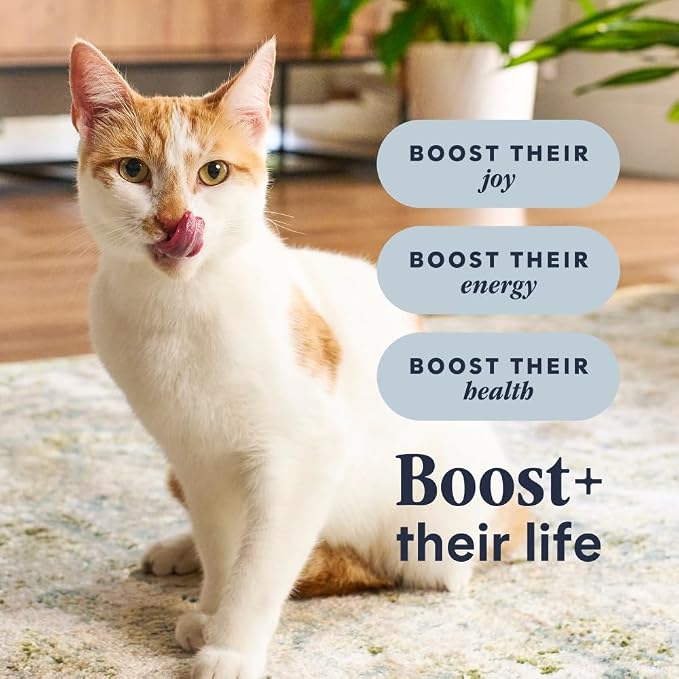Instinct RawBoost, Dry Cat Food + Freeze Dried, Real Chicken, 10 lb Bag | High-protein kibble with FreshDried raw bites, grain-free, cage-free chicken recipe, minimally processed, complete nutrition