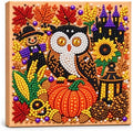 Diamond and Pearl Art Kits for Adults, Halloween Decorations, Framed Decor