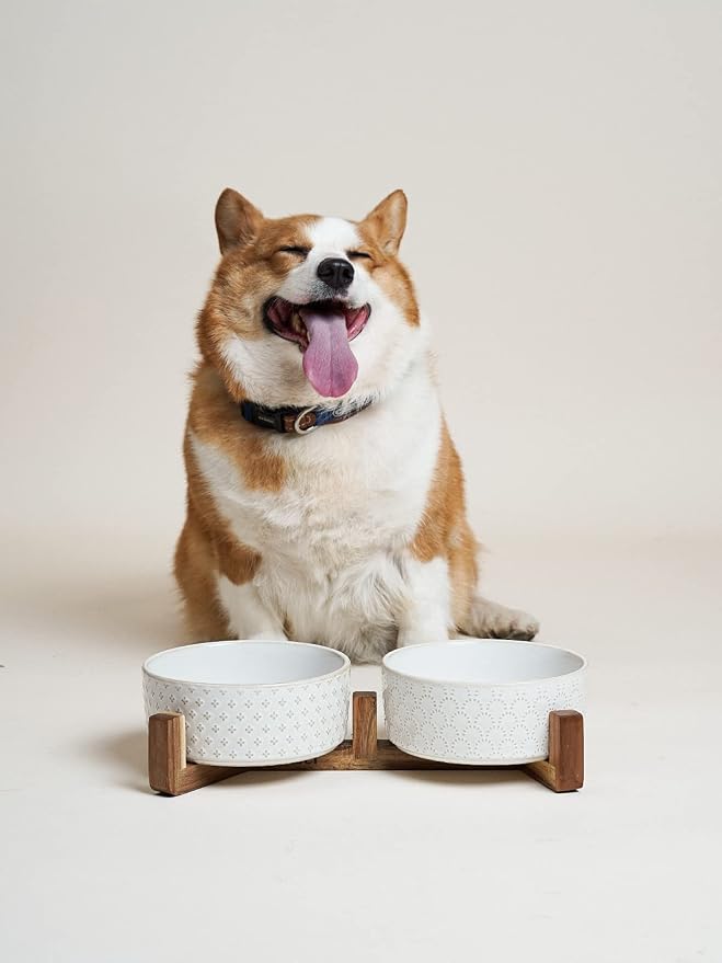 LE TAUCI Dog Bowl Set with Acacia Wood Stand - 1.5-Cup Ceramic Puppy Bowls for Small Dogs, Dual Food and Water Bowls with Weighted Non-Slip Base