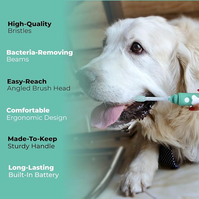 Electric Dog Toothbrush Large | Silent and Vibration-Free | Vet-Developed Electrolytic Technology | No Toothpaste Needed | Built-in Timer and App | Large Brush Head for Dogs Over 44 lbs
