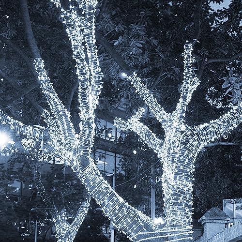 TW SHINE Christmas String Lights, 1000 LED 328FT Christmas Lights Plug in with 8 Modes, Remote Waterproof Lights Outdoor Indoor Decorations for Xmas Party Yard Decor, White