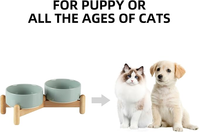 Havniva Elevated Dog Bowls Ceramic Dog Bowls with Stand, Dog Food Bowl | 5.1” Raised Dog Bowls with Non-Slip Wood Stand, Dog Food and Water Bowl Set, Double Dog Feeding Bowls for Small Dogs