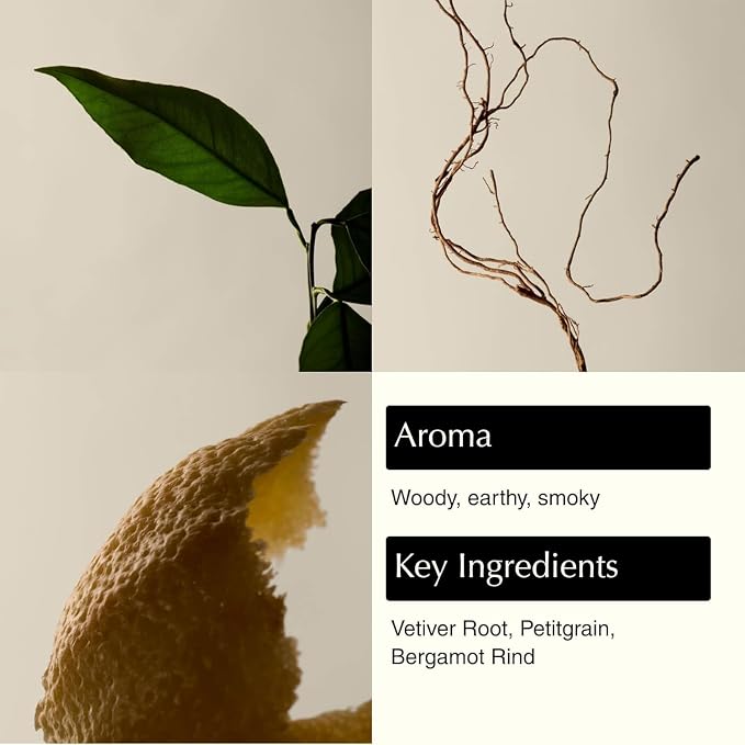 Aesop Reverence Aromatique Exfoliating Hand Wash | Exfoliating Hand Soap with Finely Milled Pumice | Gentle Cleanser & Skin-Smoothing Formula with Vetiver, Petitgrain & Bergamot | 500mL / 16.9 oz