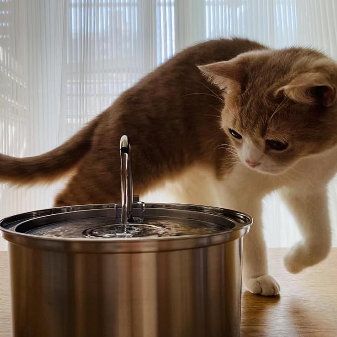 KittySpout Stainless Steel Cat Water Fountain Automatic Drinking Fountain, Quiet Circulating Water Bowl, Dishwasher Safe, Indoor Pet Fountain for Hydrated Healthy Cats (Stainless Steel, 3.2L Corded)