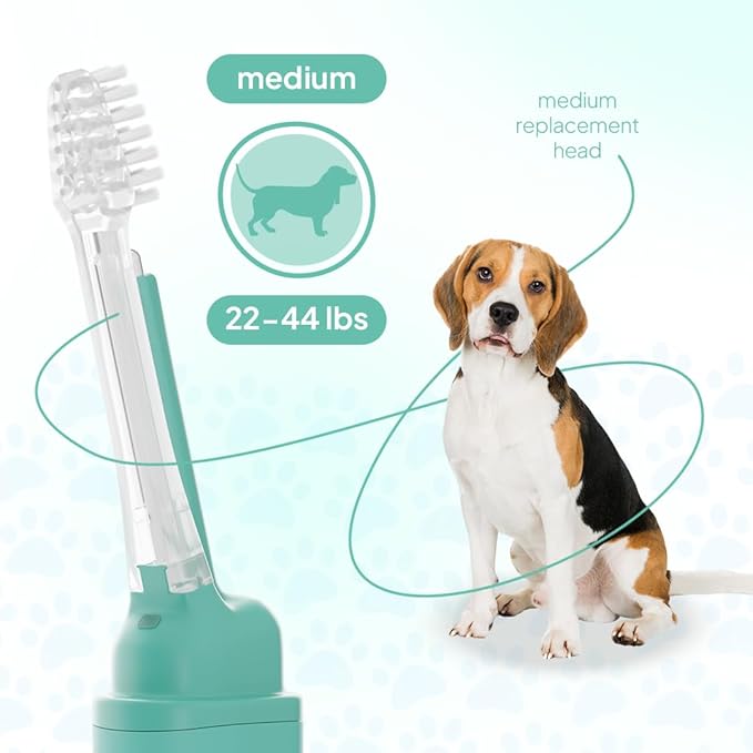 Electric Dog Toothbrush | Silent & Vibration-Free | Vet-Developed Electrolytic Technology | No Toothpaste Needed | Built-in Timer & App | Replaceable Heads for Small, Medium & Large Dogs