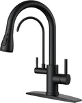 FORIOUS Black Kitchen Faucets with Water Filter, 2 in 1 Stainless Steel Pull Down Sink Faucet and Purified Water Faucet Rustic High Arc Single Handle with Detachable Deck for 1 or 3 Hole