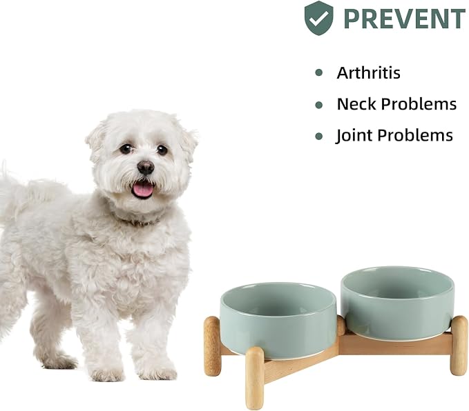 Havniva Elevated Dog Bowls Ceramic Dog Bowls with Stand, Dog Food Bowl | 5.1” Raised Dog Bowls with Non-Slip Wood Stand, Dog Food and Water Bowl Set, Double Dog Feeding Bowls for Small Dogs