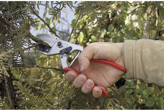 Felco F31 Pruning Shears – 8.3" Garden Clippers with Anvil Blade for Dry & Hard Wood | Hand Pruner for Gardening | Garden Tool Cutter with Aluminum Handle, Alloy Steel Blade, High-Torque Cutting Power