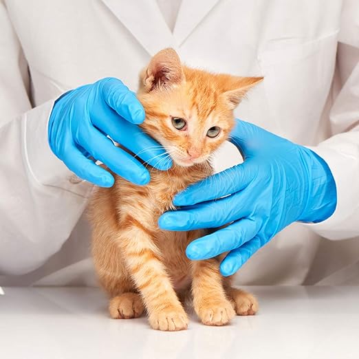 Basic Medical Blue Nitrile Exam Gloves - Latex-Free & Powder-Free - NGPF 7004 (Case of 1,000), Xtra Large