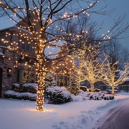TW SHINE Color Changing Christmas Lights, 66 FT 200 LED Warm White and RGB Halloween Lights with Remote Waterproof, Outdoor String Lights for Indoor Xmas Tree Wedding Decorations
