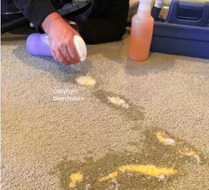 BLEACHSTAIN® Homeowner’s Carpet Spot Dye Kit™ | Restores Carpet Color | Repair Discoloration from Bleach Stains, Acne medications, or Chemical Marks and Spots