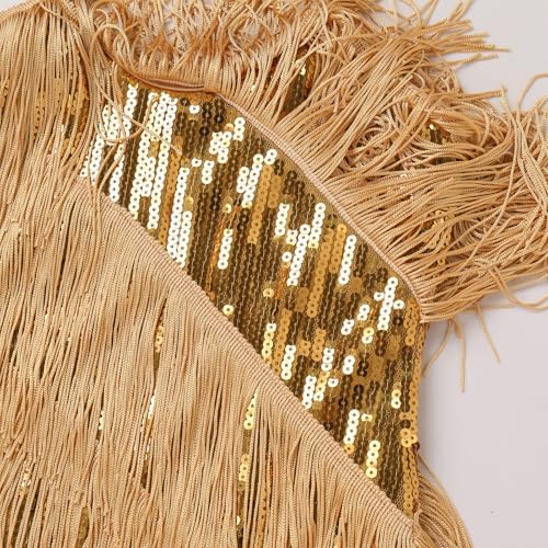 IDOPIP Kids Girls 1920s Flapper Dress Tassels Sequins Fringe Latin Dance Dress Gatsby Halloween Party Ballroom Dance Costumes