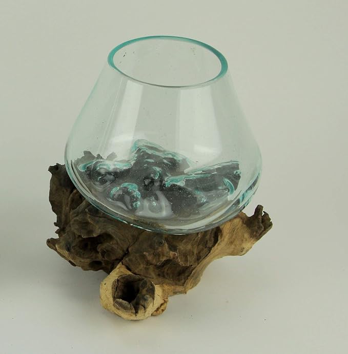 Planter Terrarium with Molten Glass Bowl on Teak Driftwood, 8.5 Inch | Brown Natural Base, Clear Hand-Formed Vessel, For Succulents, Air Plants, Herbs or Fairy Gardens