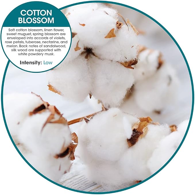 Fresh Products myfreshe Plug in Air Freshener Worry free No Heat No Glass Dry Fragrance Refills For Small Spaces Made in the USA Cotton Blossom 2 pack