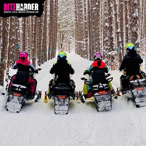 BITEHARDER Snowmobile Helmet Safety Light, Aqua