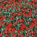 Strawberry Filled Hard Candy Bon Bons, Real Fruit Pulp, 160 Oz
