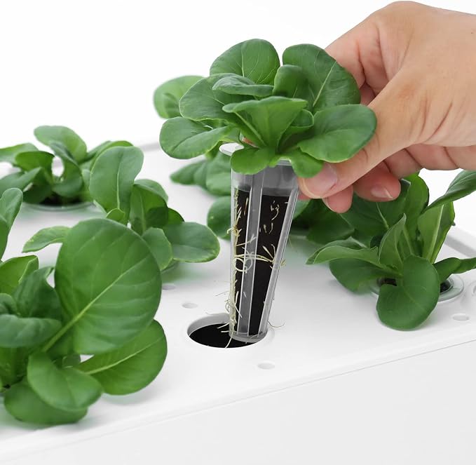 iDOO Growth Sponges 60 Pcs, Replacement Hydroponics Sponges Compatible with AeroGarden LYKO and All Indoor Hydroponics Growing System Indoor Garden (Except ID-IG201) Hydroponics Supplies