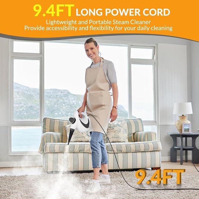Handheld Pressurized Steam Cleaner with 12 pcs Accessories, Steamer for Cleaning, Steam Cleaner for Home Use, Steamer for Cleaning Car, Furniture, Floor, Upholstery, Grout and Tile, Deep Gray