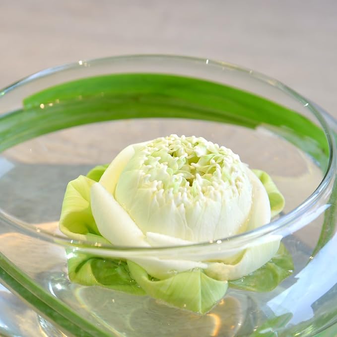 3 Pcs Hydroponic Planter Lotus Flower Pot Planter Lotus Bowl Clear Glass Fish Bowl Vase for Planting Indoor Home Decor Water Lily Narcissus Planting Water Lily (7.09in)