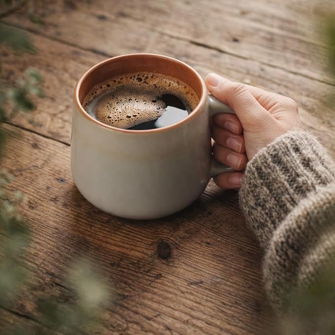 Ava Nord Large Stoneware Ceramic Coffee Mugs Set of 4 | 16 oz | Sage Ash | Lead-Free, Non-Toxic, Freezer - Microwave & Dishwasher Safe, Comfortable Handle, Aesthetic Nordic Design for Latte, Tea