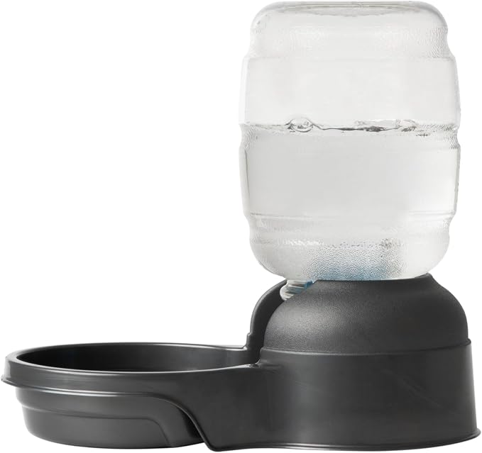 Petmate Replendish Automatic Dog Water Dispenser Gravity Pet Waterer with Microban Protection Base, 100% BPA Free - 0.5 Gallon, Wide Mouth Bowl, with 2 Extra Filters