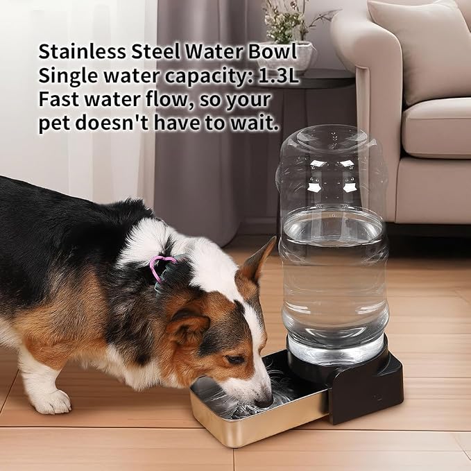 PAKEWAY 1.6 Gallon Gravity Dog Water Dispenser, Automatic Pet Waterer with Stainless Steel Bowl, Transparent Tank and 3 Filters for Medium Dogs and Cats, 6.1L