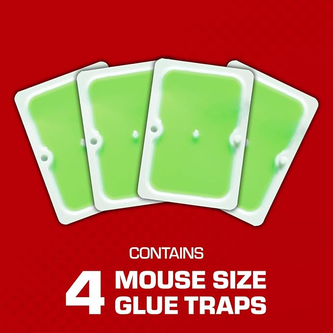 Tomcat Super Hold Glue Traps Mouse Size for Mice,Cockroaches,Spiders,and Scorpions,Ready-to-Use,4 Traps,(Pack of 12)