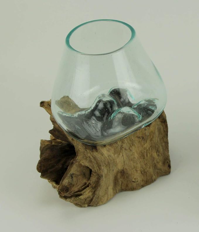 Planter Terrarium with Molten Glass Bowl on Teak Driftwood, 8.5 Inch | Brown Natural Base, Clear Hand-Formed Vessel, For Succulents, Air Plants, Herbs or Fairy Gardens