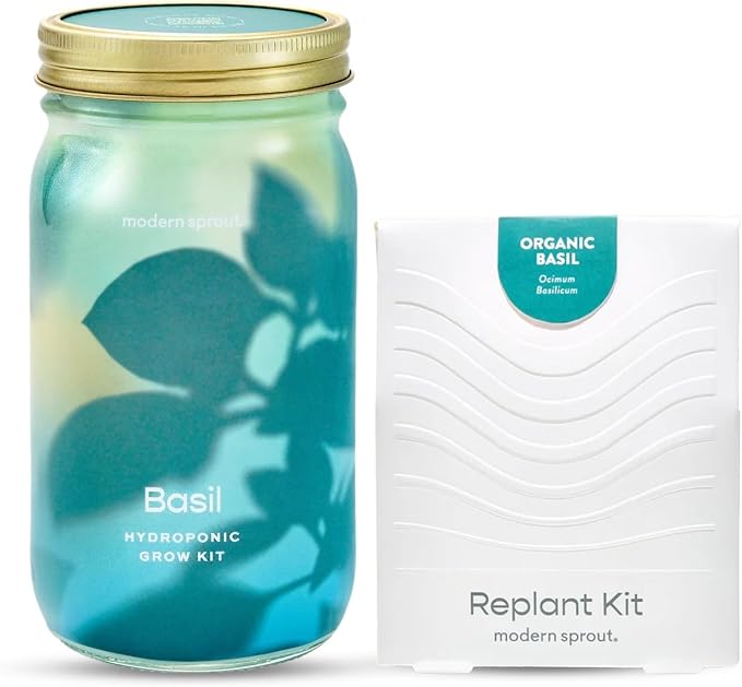Modern Sprout Mason Garden Jar+Replant Kit -Self-Watering Hydroponics Growing System Kit w/Organic Herb Seeds -Sprouting Jar Planter for Indoor Herb Garden - Seed Starter -Gift for Mother's Day -Basil