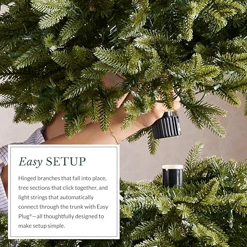 Balsam Hill BH Fraser Fir Narrow - Realistic Slim Christmas Tree with True Needle Foliage, Easy Plug Technology & Space-Saving Design, LED Clear, 6.5ft