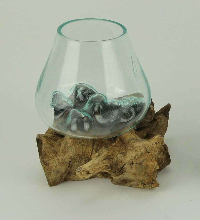 Planter Terrarium with Molten Glass Bowl on Teak Driftwood, 8.5 Inch | Brown Natural Base, Clear Hand-Formed Vessel, For Succulents, Air Plants, Herbs or Fairy Gardens