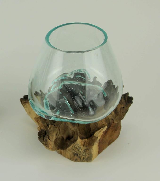 Planter Terrarium with Molten Glass Bowl on Teak Driftwood, 8.5 Inch | Brown Natural Base, Clear Hand-Formed Vessel, For Succulents, Air Plants, Herbs or Fairy Gardens