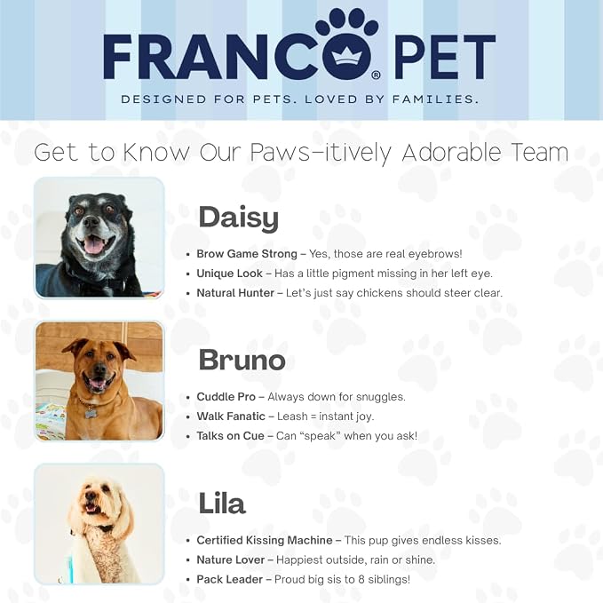 Barbie Waterproof Dog Bed Cover, Large 50x60 Pet Blanket for Furniture Bed Couch Sofa, (Officially Licensed) by Franco