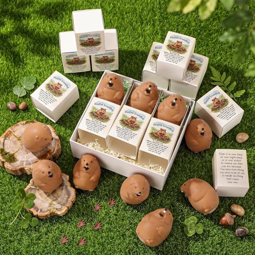 12 Sets Positive Gifts Groundhog Figurine with Support Boxes